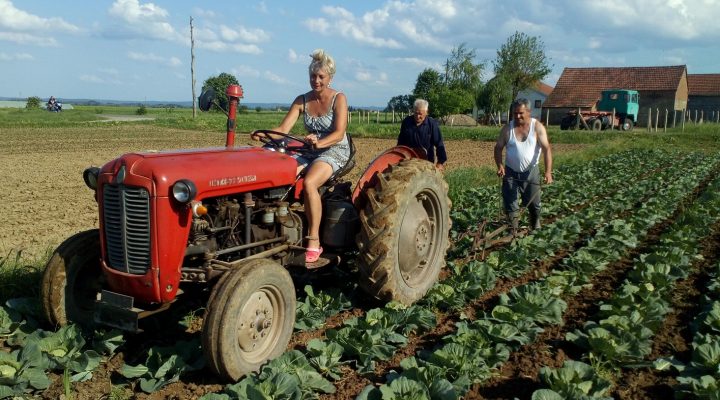 LETEĆA BAKA IZ MAŠIĆA KOD GRADIŠKE