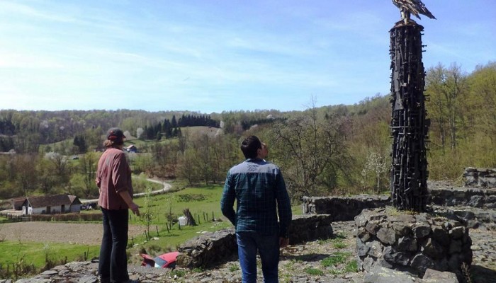 PTICA RANJENA I ZABORAVLJENA