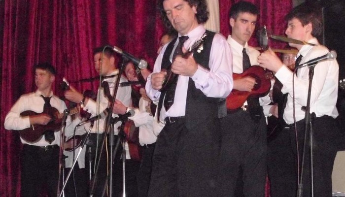 BORO VOJINOVIĆ, GRADITELJ ŽIČANIH INSTRUMENATA IZ ŠIPOVA