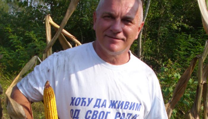 SA REČI PREŠAO NA REKORDNU PROIZVODNJU KUKURUZA