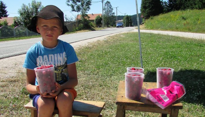 PRODAJE MALINE DA BI KUPIO KNJIGE