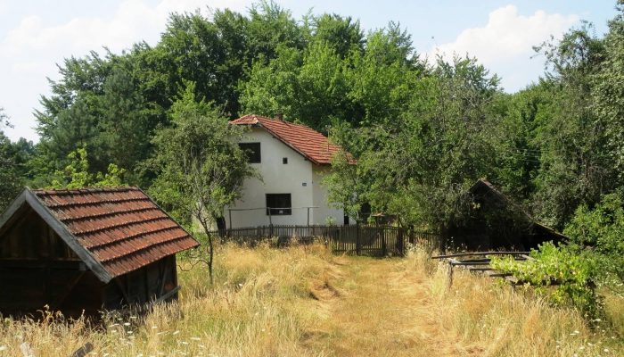 ŽIVOT SAMO JEDAN DAN U GODINI