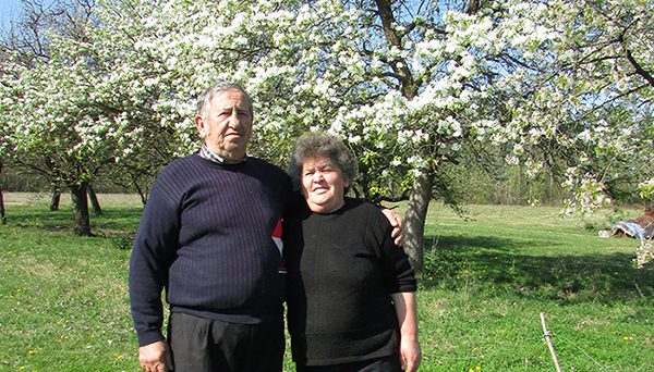 LJUBAV U KROŠNJAMA KRUŠKE BLJUZGAČE