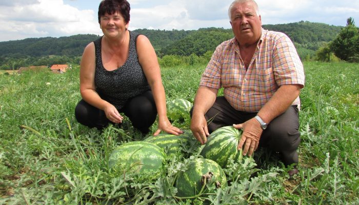 LIJEVČANSKO ISKUSTVO USPEŠNO PRIMENJUJU U POTKOZARJU