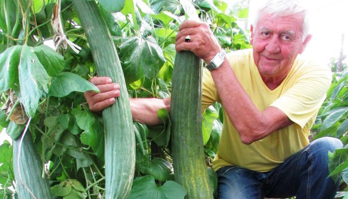 RETKE SORTE VOĆA I POVRĆA OSVAJAJU LIJEVČE POLJE