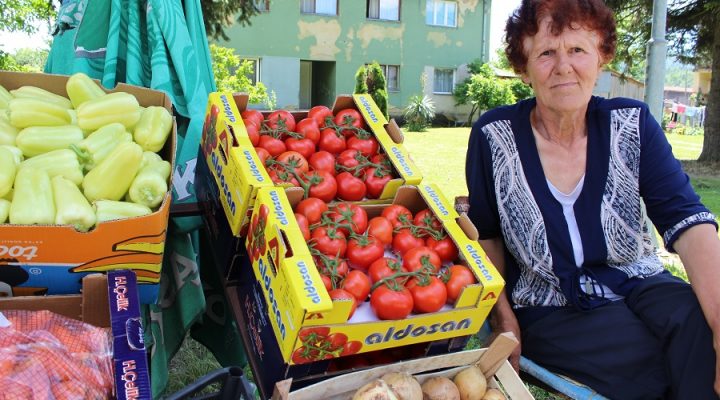 KO HOĆE DA RADI, KOD STANE UVIJEK IMA POSLA Vrijedna penzionerka i poslodavac iz Podgradaca